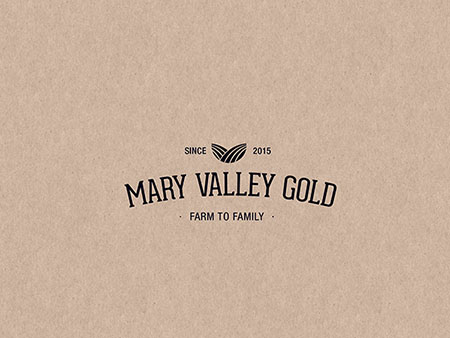 Cheese Logo Design Gold Coast